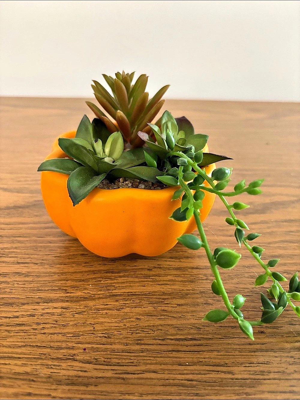 Orange & Green Succulent Arrangement Planter
